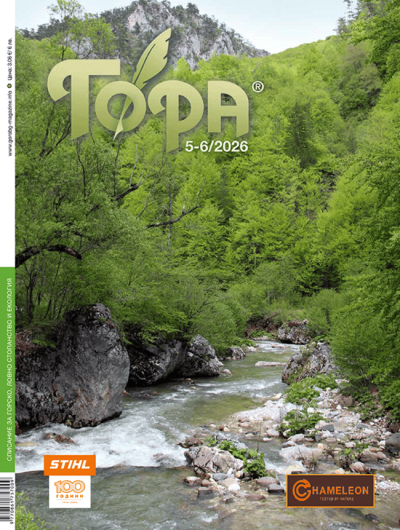 Гора