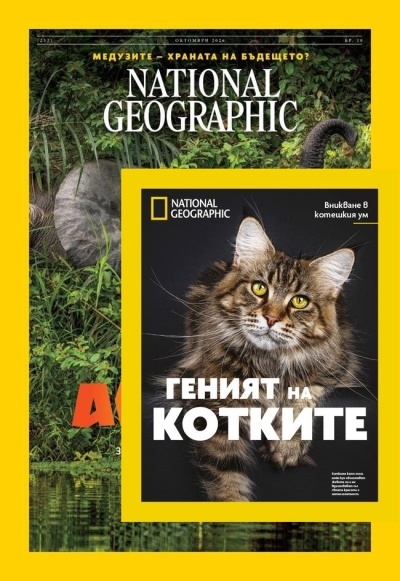 National Geographic magazine NGM + книга Геният на котките